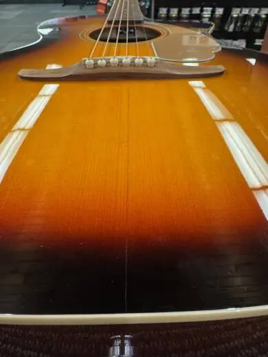 Fender Newporter 2